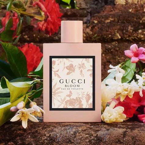 gucci bloom edt notes|gucci bloom original.